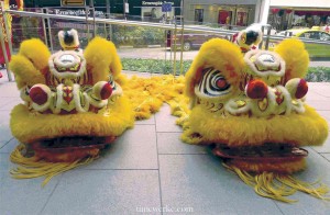 22 February 2013, 11.23am, lion heads ready for the festive Chinese Lunar New Year dance. Notice the polished forehead? That is actually a reflective surface. The lions also have a horn on their head. Photo: © TANG Portfolio